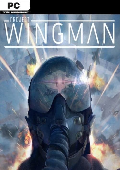 Project Wingman
