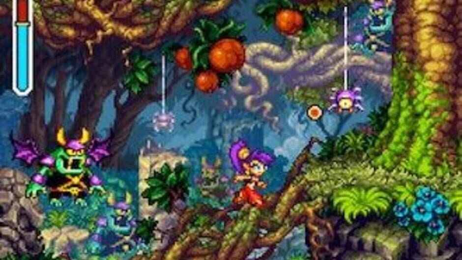 Shantae: Risky's Revenge - screenshot 1