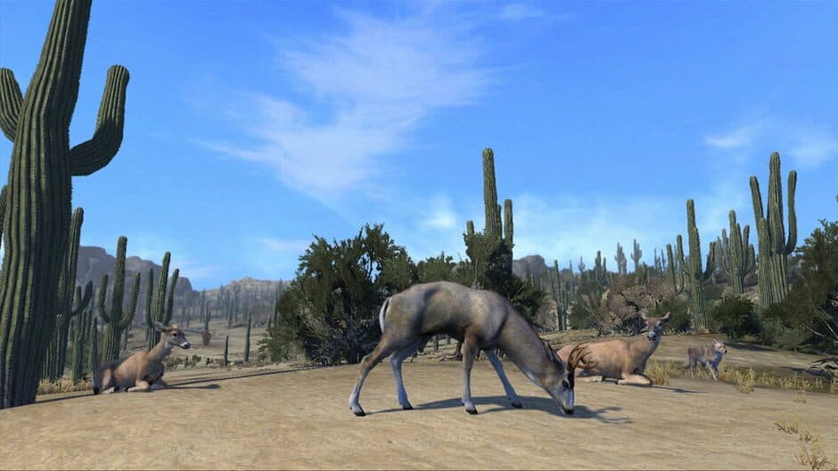 Cabela's Big Game Hunter Pro Hunts screenshot 3