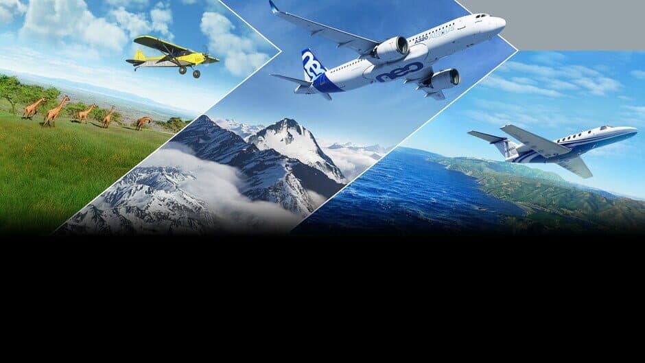 Microsoft Flight Simulator Deluxe