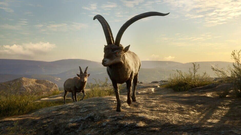theHunter: Call of the Wild - Cuatro Colinas Game Reserve