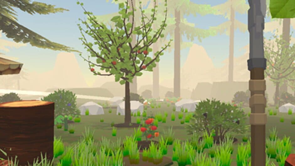 Forest Farm