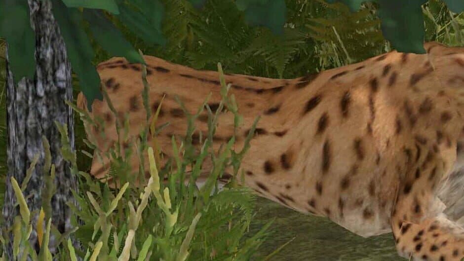 Galvatia