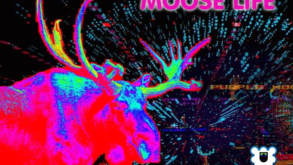 Moose Life