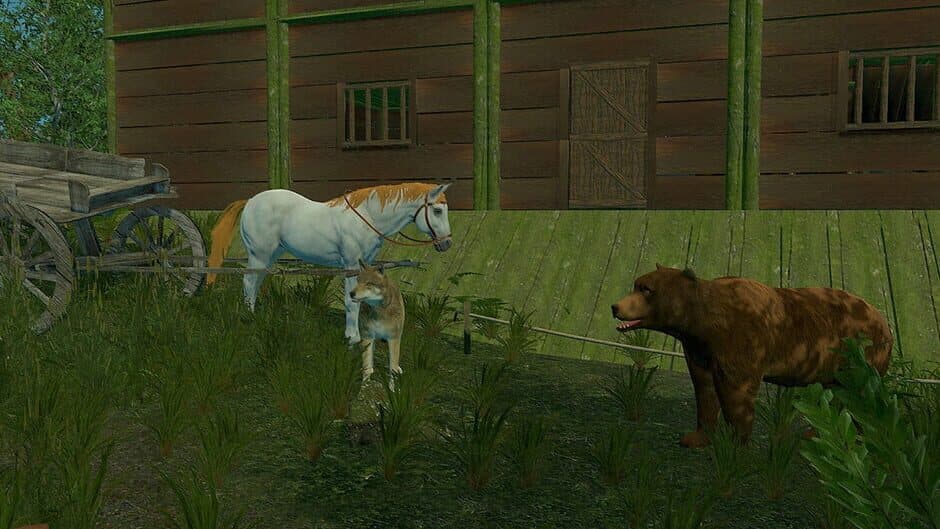 Trials of Wilderness