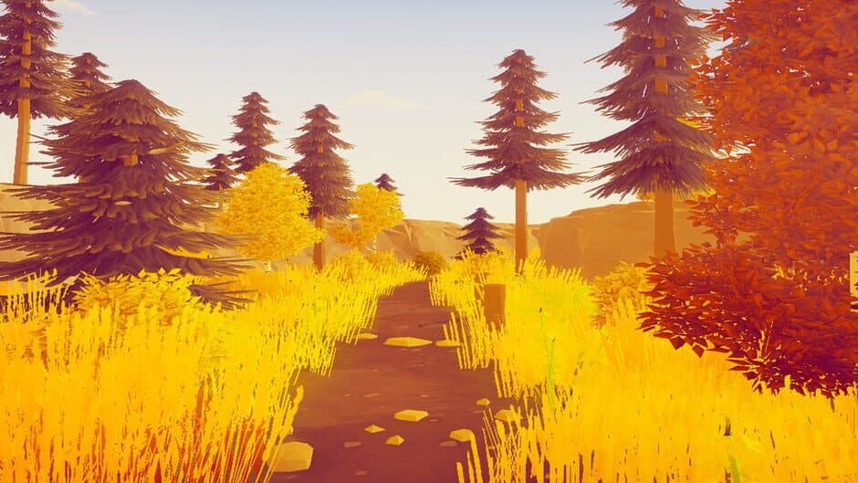 Forest Mystery