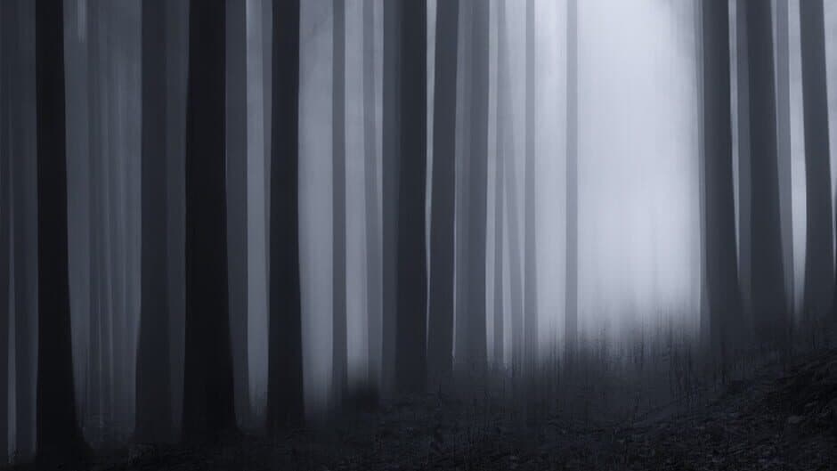The Dark Journey