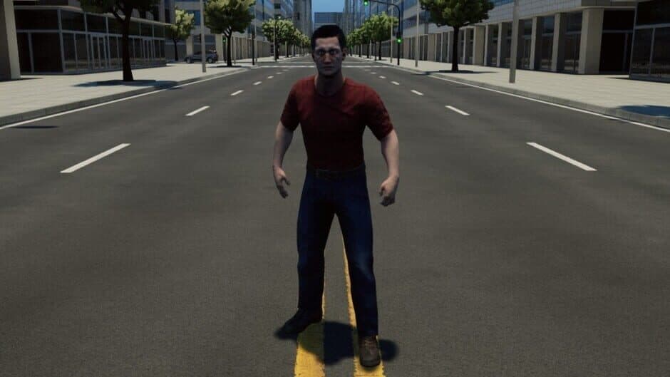 CRASH TEST IDIOT