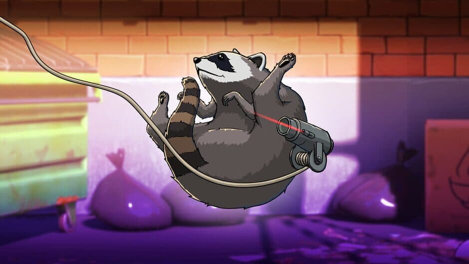 Raccoon Roller
