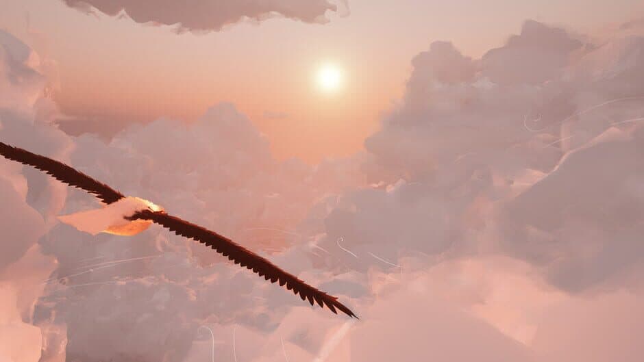 Toroa: Skycall