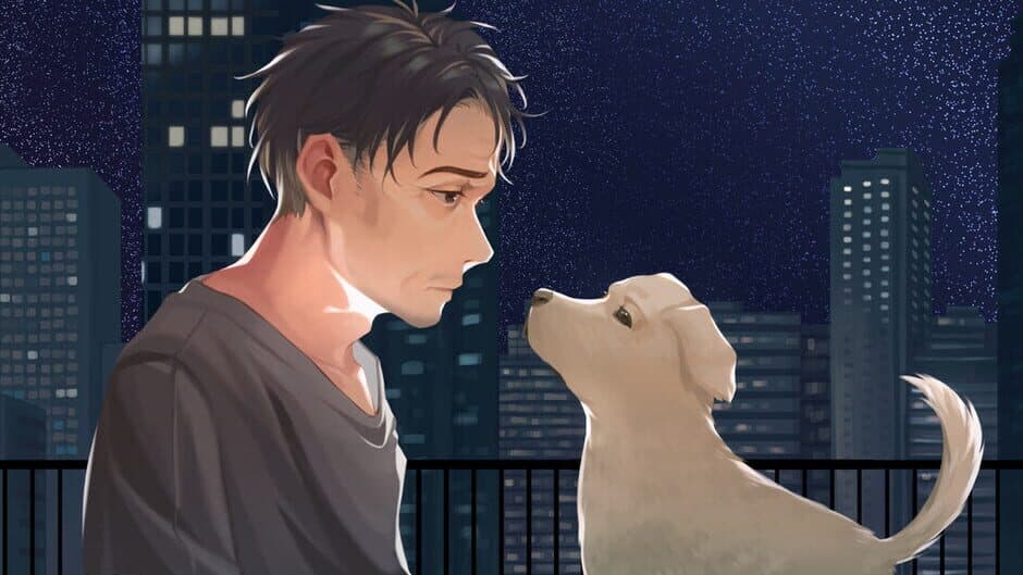 Bangkok Story: A Stray Dog