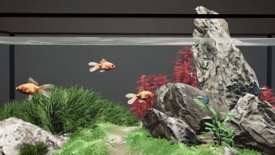 Aquarium Designer