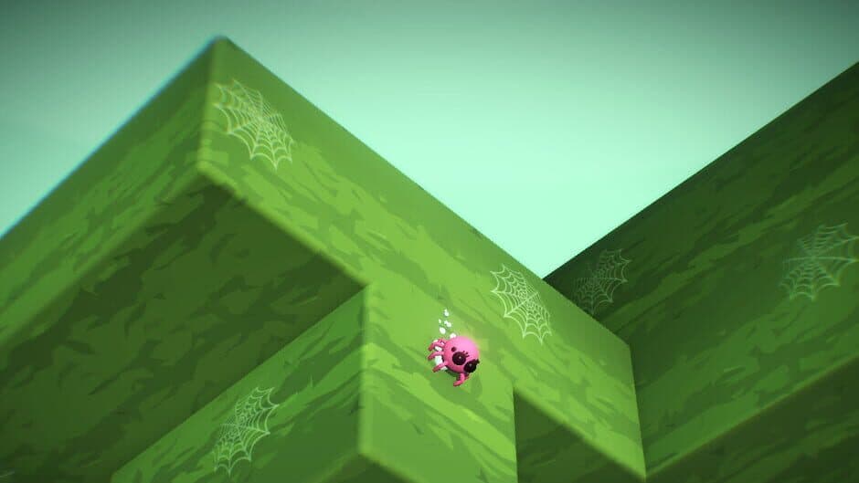 Spider Hunter