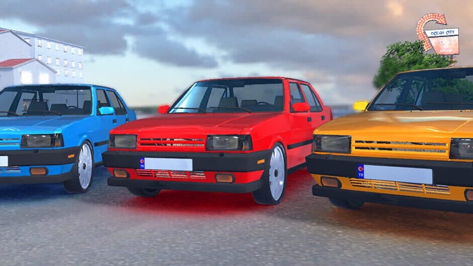 Tofas Sahin: Online Car Driving