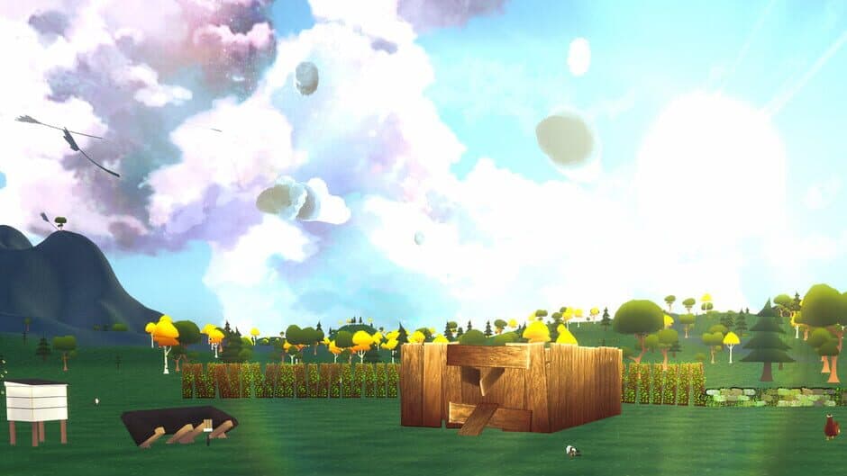Chicken Coop