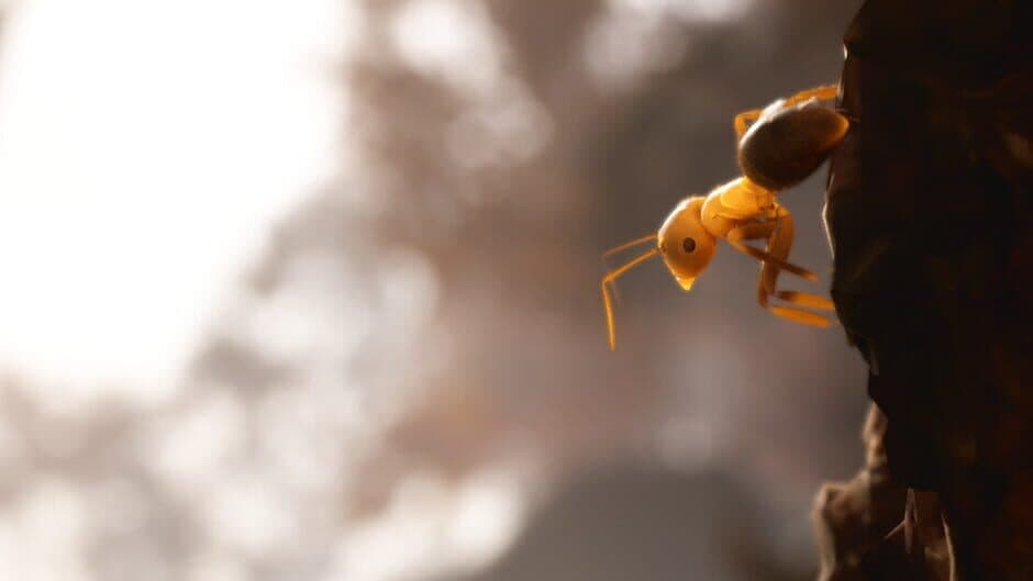 Empire of the Ants