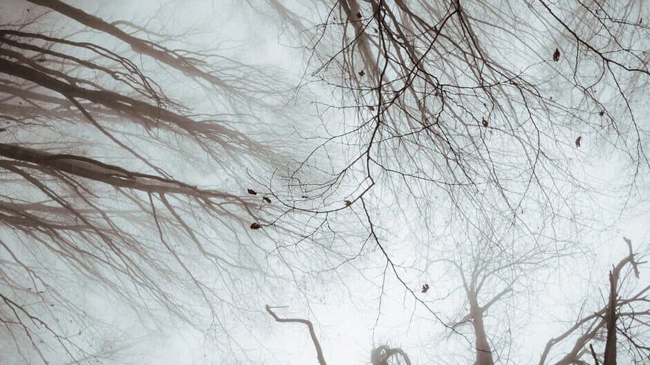 The Black Within