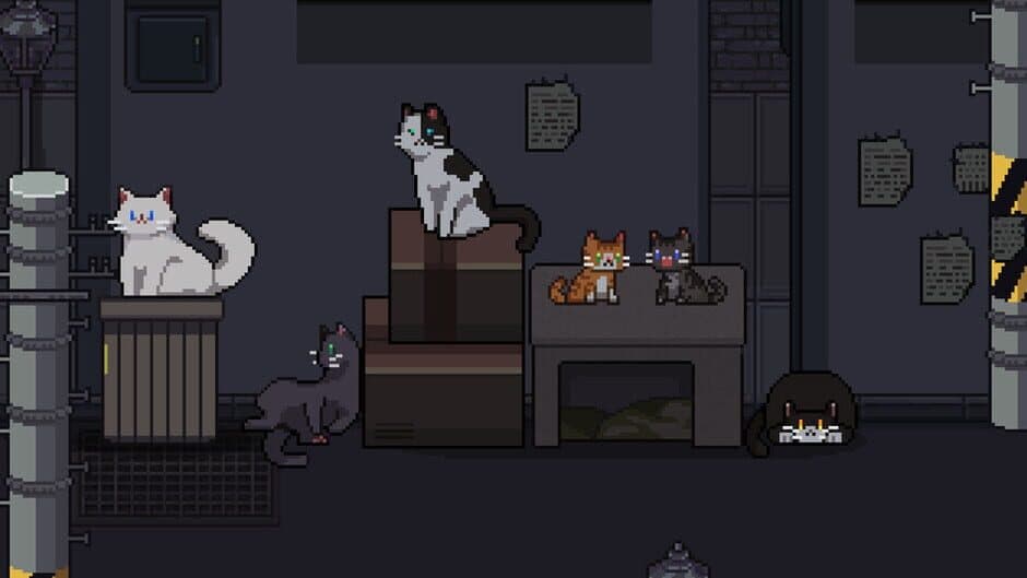 A Street Cat's Tale 2: Out side is dangerous