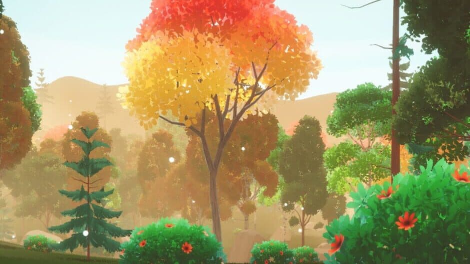 Leafy Trails