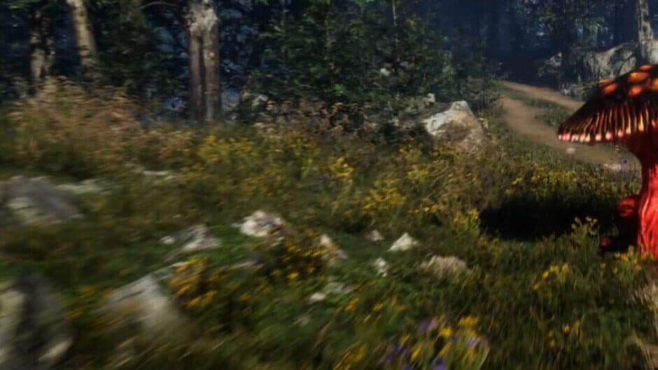 Forest Frenzy