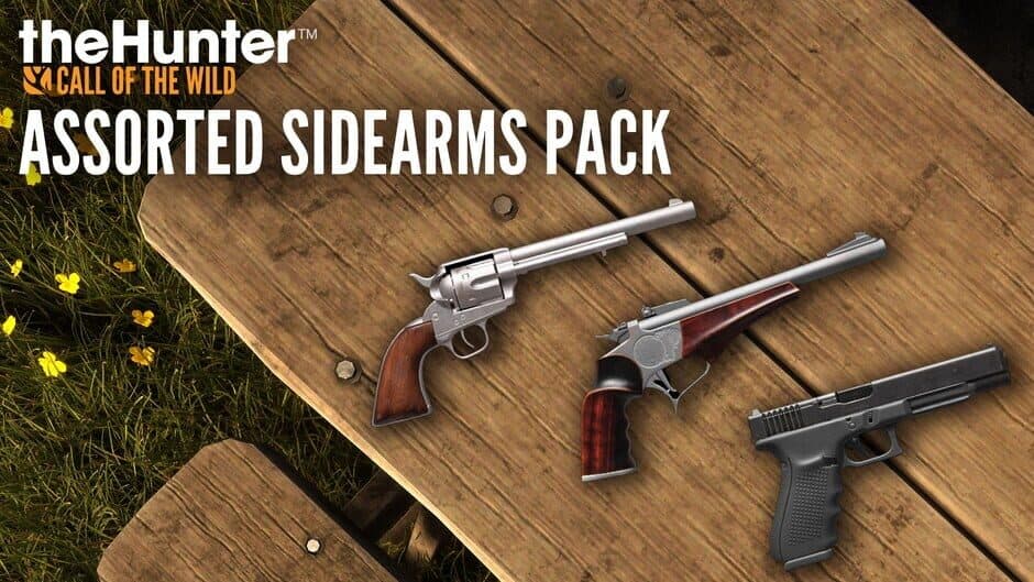 theHunter: Call of the Wild - Assorted Sidearms Pack