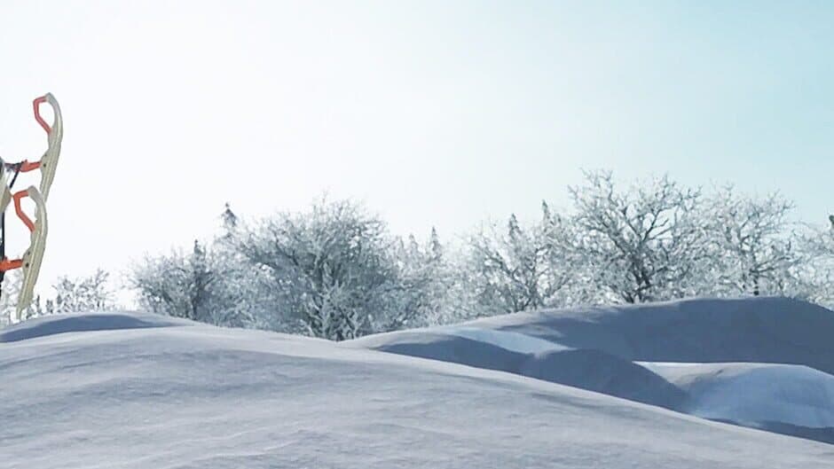 Sledders
