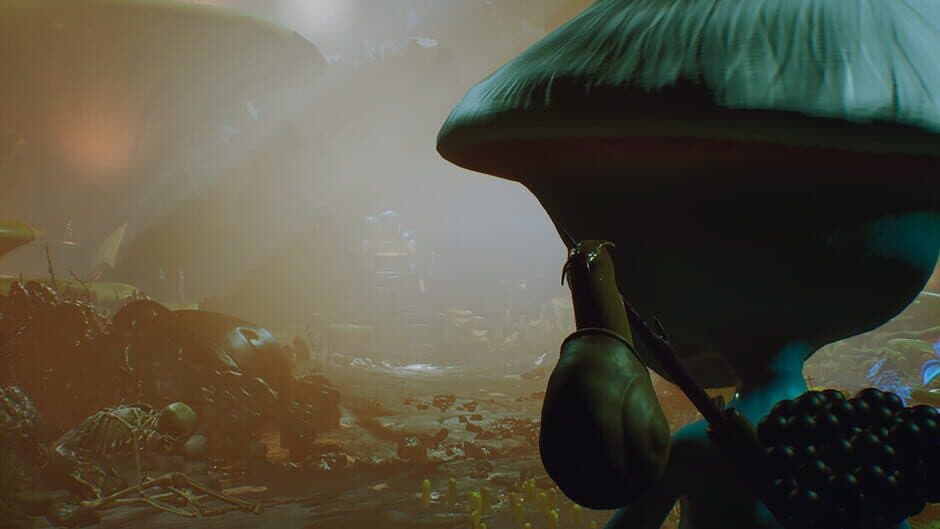 Shaylushay Treasure Expedition