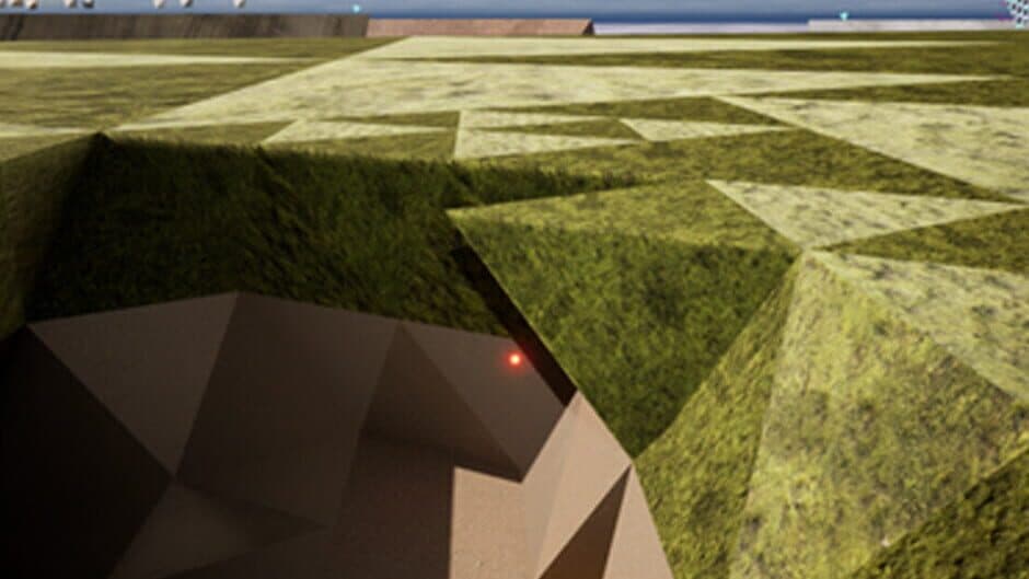 Hedra