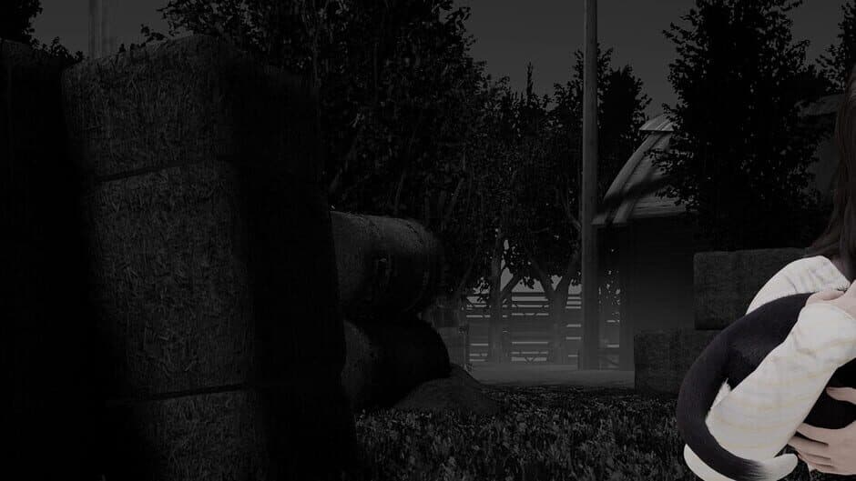 Shadows in Silence