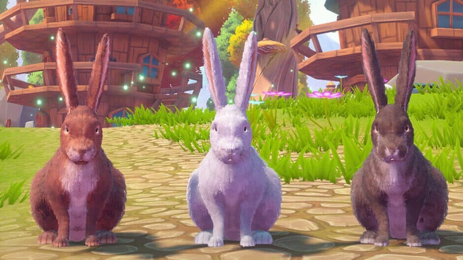 Adventure Forest: Rabbit Story