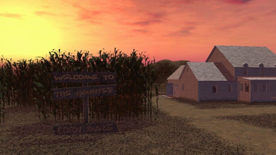 Maize