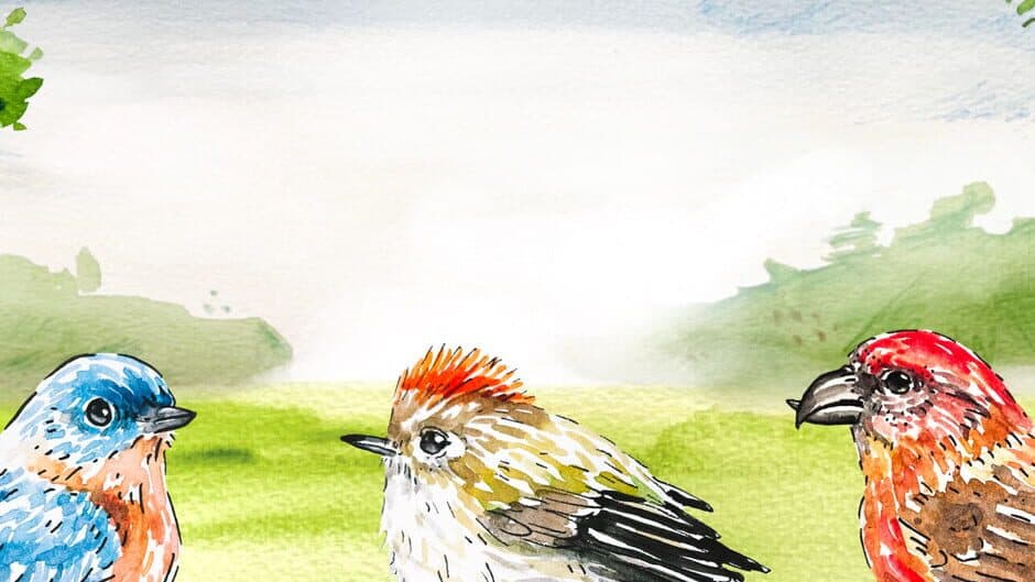 Birdfull