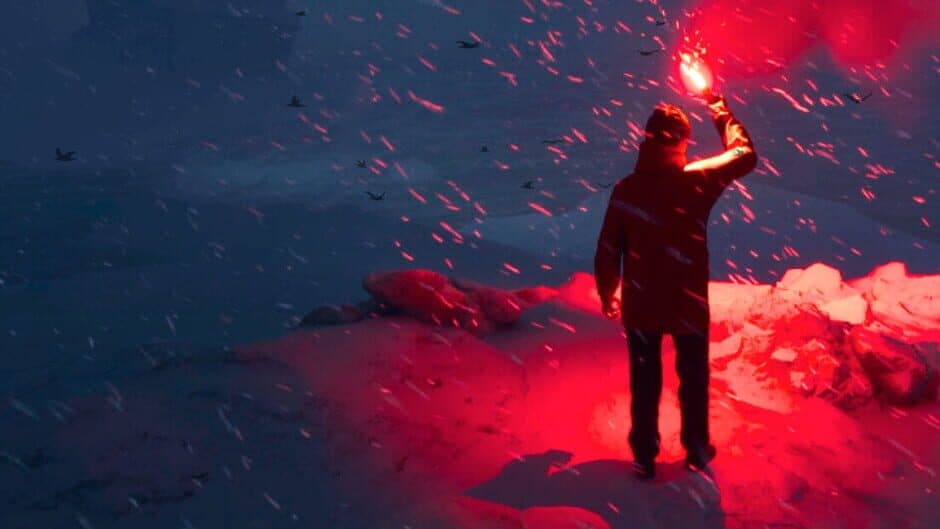 WILL: Follow The Light