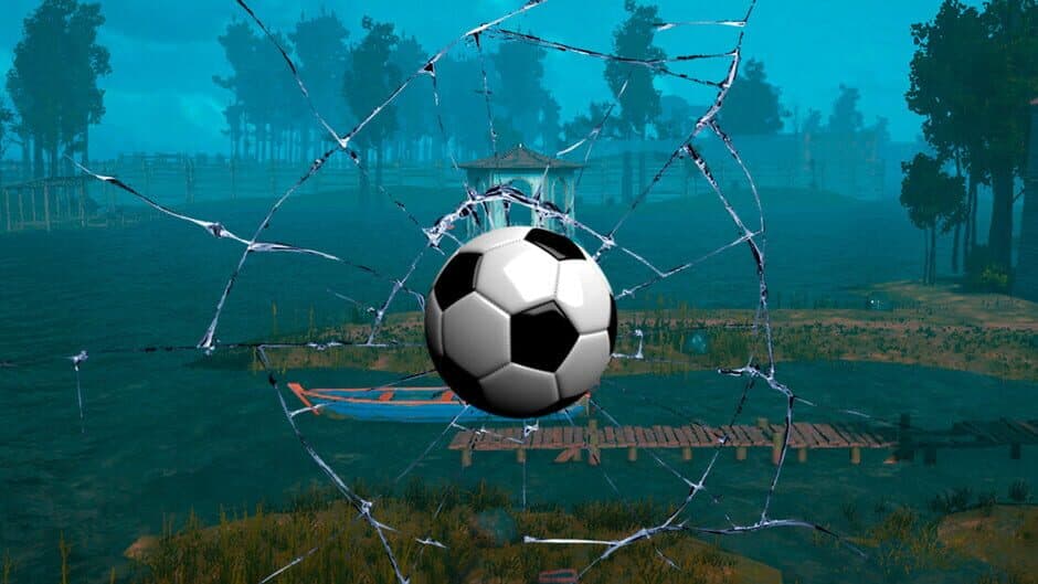 ROOM FOOTBALL: Wetlands