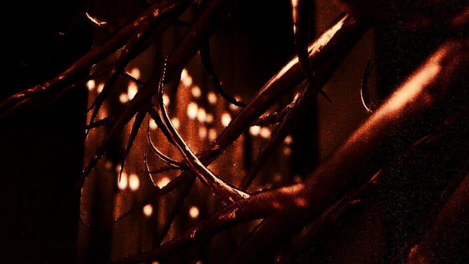 CULT OF FLIES