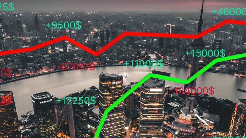 THE BEST INVESTOR