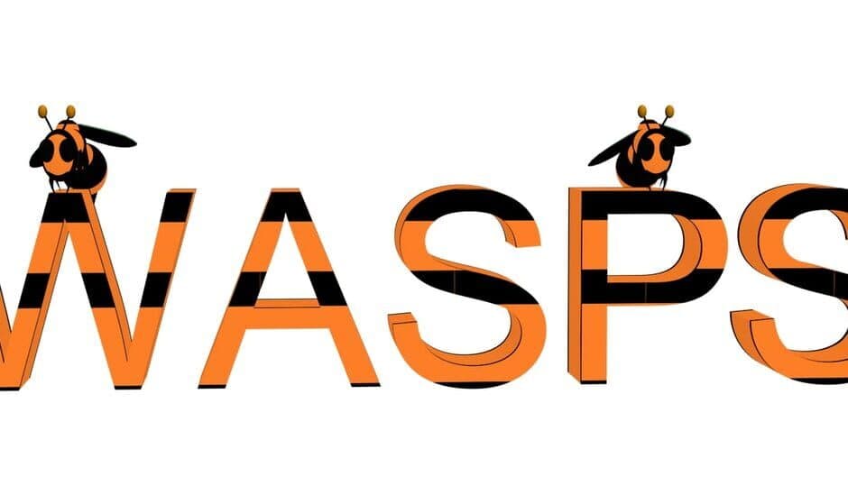 Wasps!