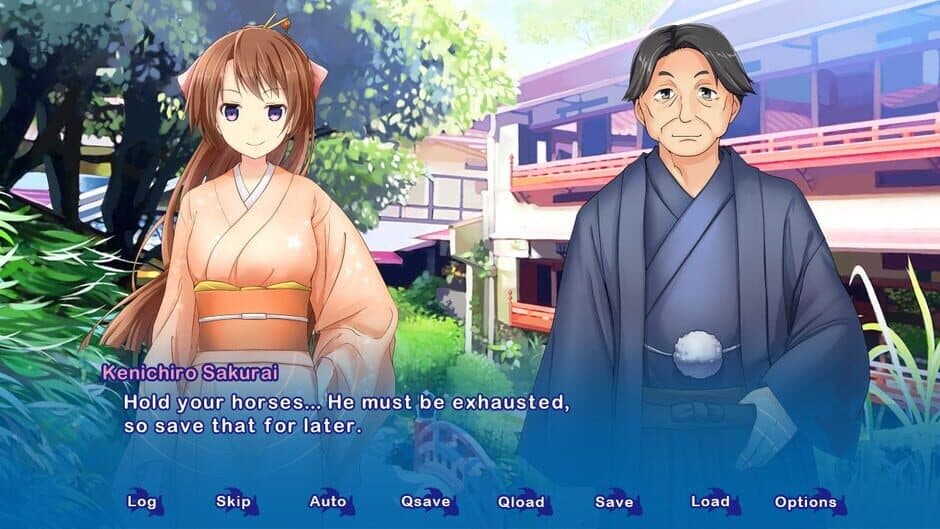 Kyoto Colorful Days screenshot 2