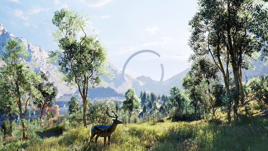 The Valley Beyond