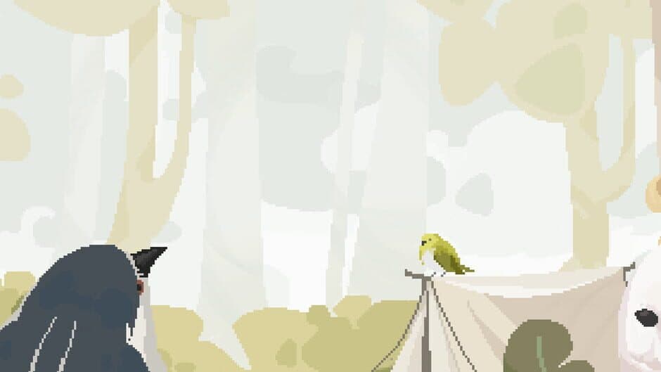 Birdwatching Notebook
