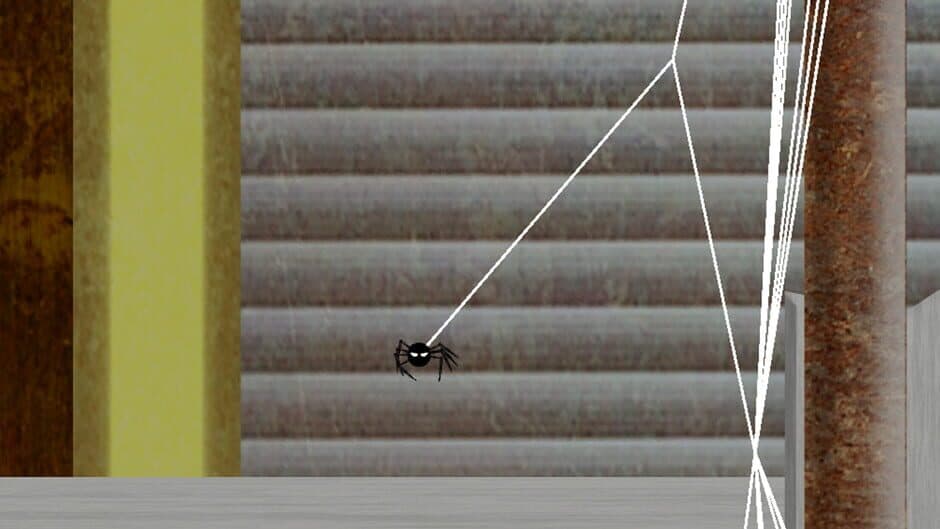 Spider Caro