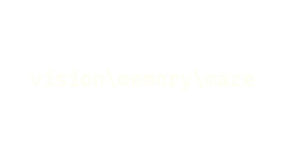 vision\memory\maze