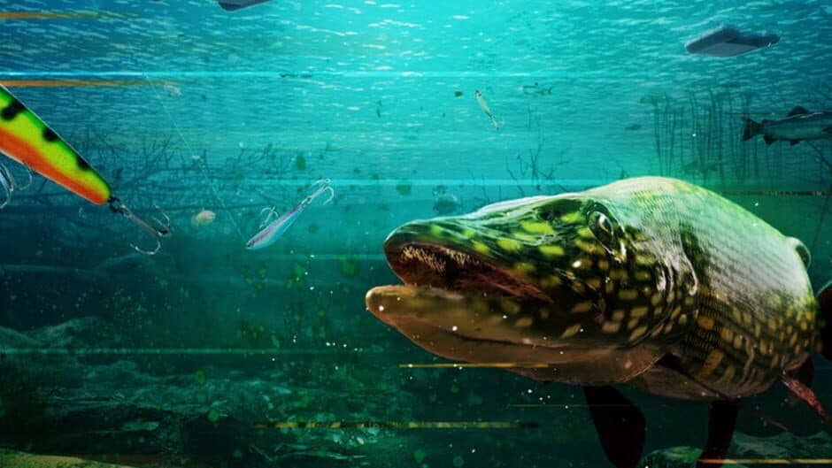 The Catch: Carp & Coarse Fishing - Lake Beasts Equipment Pack