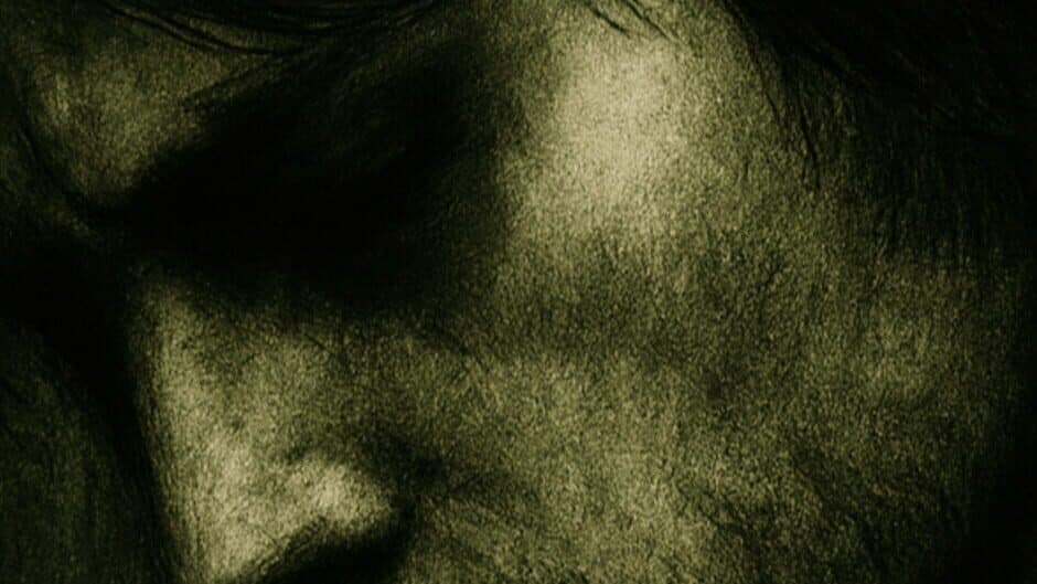 Lost in Voice