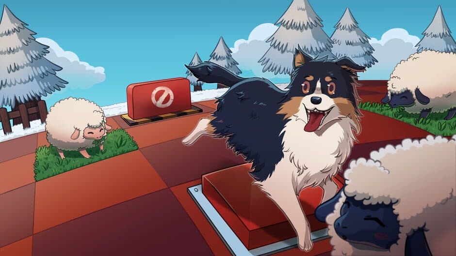 Collie Call Farm of Tomorrow