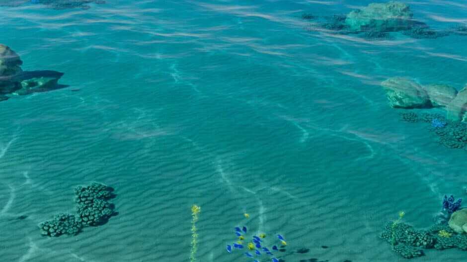 Oceanside Whispers