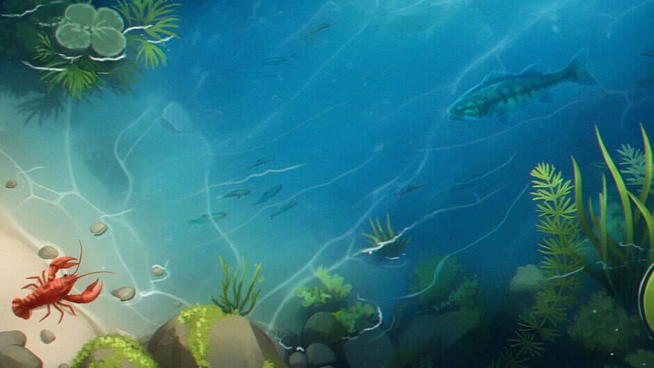FishPond