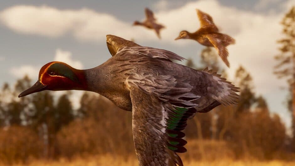 BULT: Hunting simulator