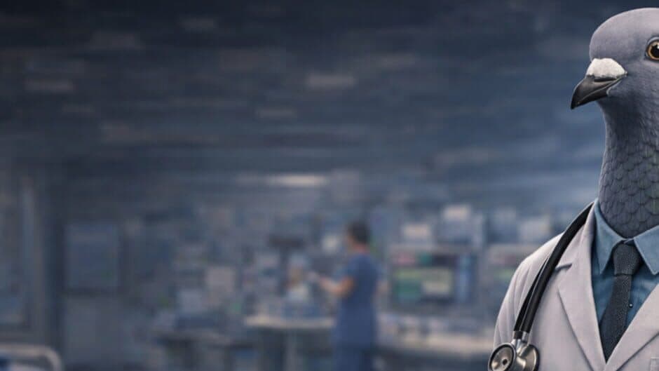 Doctor Pigeon Simulator