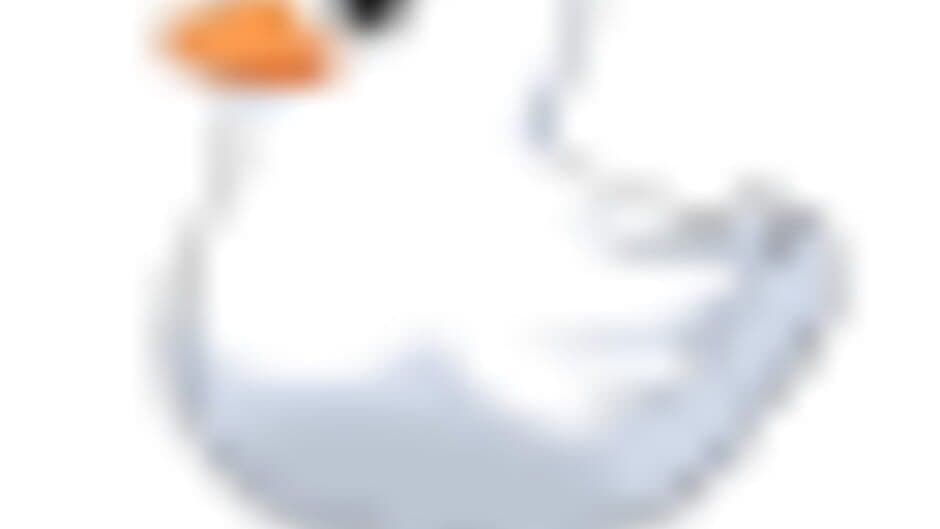 Dodo Duckie